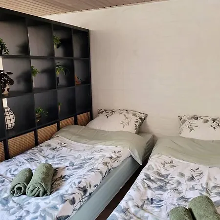 Apartman Cozy Basement In The Center